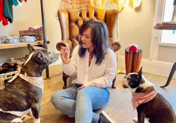 How Dog Gems Are Redefining the Concept of Pet Luxury – Joya Diamonds ...